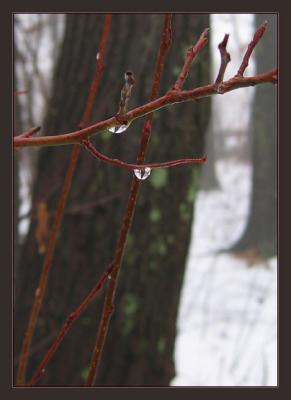 IMG_0846w.jpg