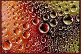 fruit bubbles #4