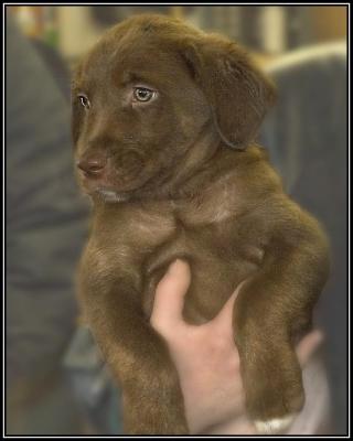 Slick - 7 weeks
