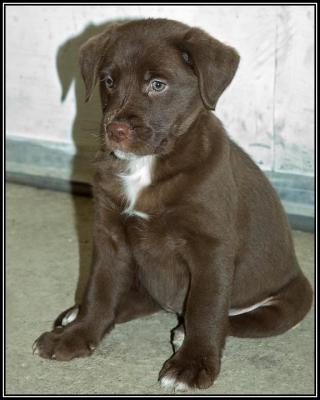 Tia - 7 weeks