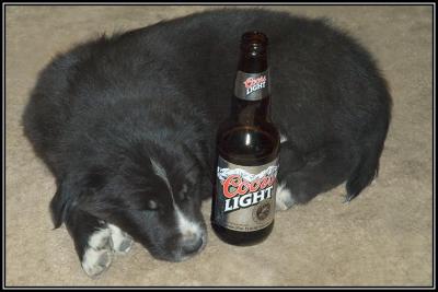Party animal!