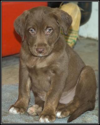 Slick  - 7 weeks