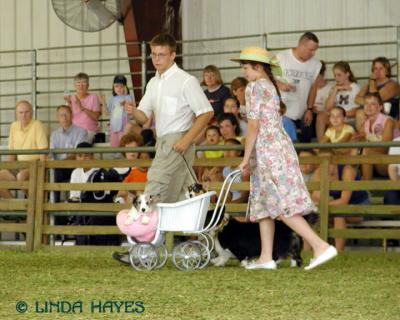 Corgi Family Show 613