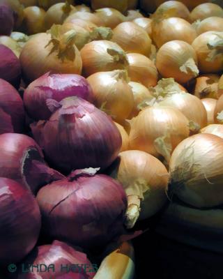 Onions 303 bZ