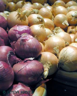 Onions 303