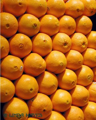 u14/lindah/medium/4382965.Oranges306WEBcopy.jpg