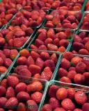 Strawberries 287