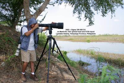 Candaba wetlands: The 300D + Sigma 300-800 DG is my fixed heavy artillery, while the 20D + 400 5.6L is always ready to shoot fliers.