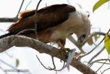 IMG_1077.jpg