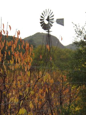 Windmill in the Orchard on See Canyon Road