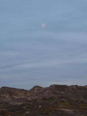 Moon and  Dunes at Montana de Oro