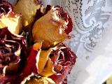 dried roses ~ January 15th