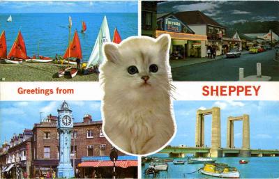 Greetings from Sheppey