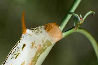 Img_8859 copy2.jpg