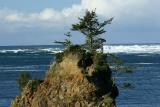 Sea stack at Siletz Bay