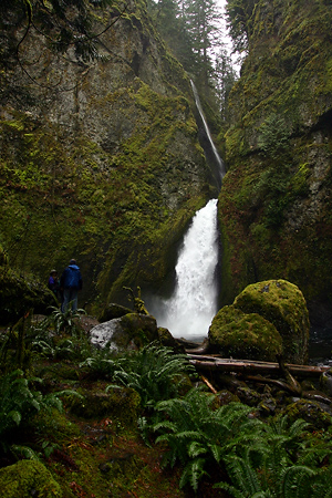 Wahclella Falls