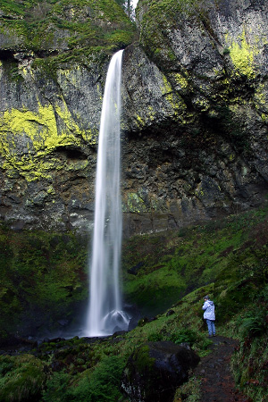 Elowah Falls