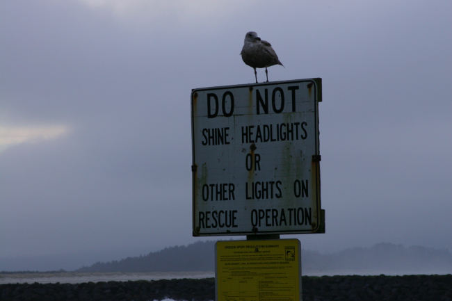 Do not shine headlights on rescue operations