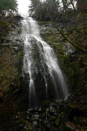 Pheasant Falls