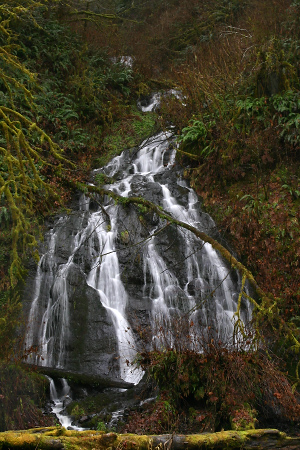 Alder Glen Falls