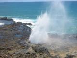 Spouting Horn