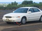 Cock attacking the rental car