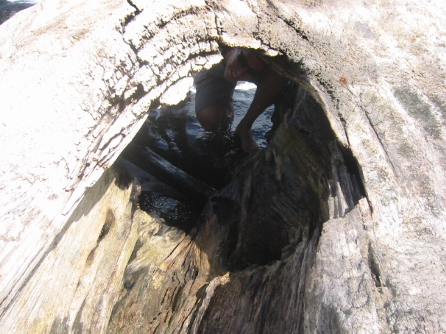 Lydgate State Park