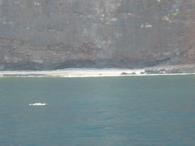 West shore