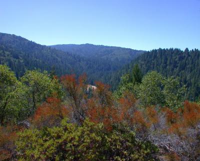 S. Fork of the Eel River from the Alquist trail look out