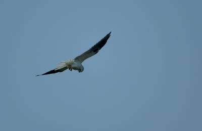 Untitled-19.jpg