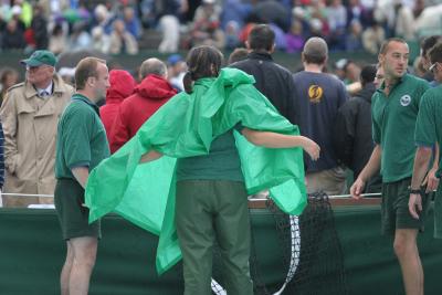 IMG_2315.jpg