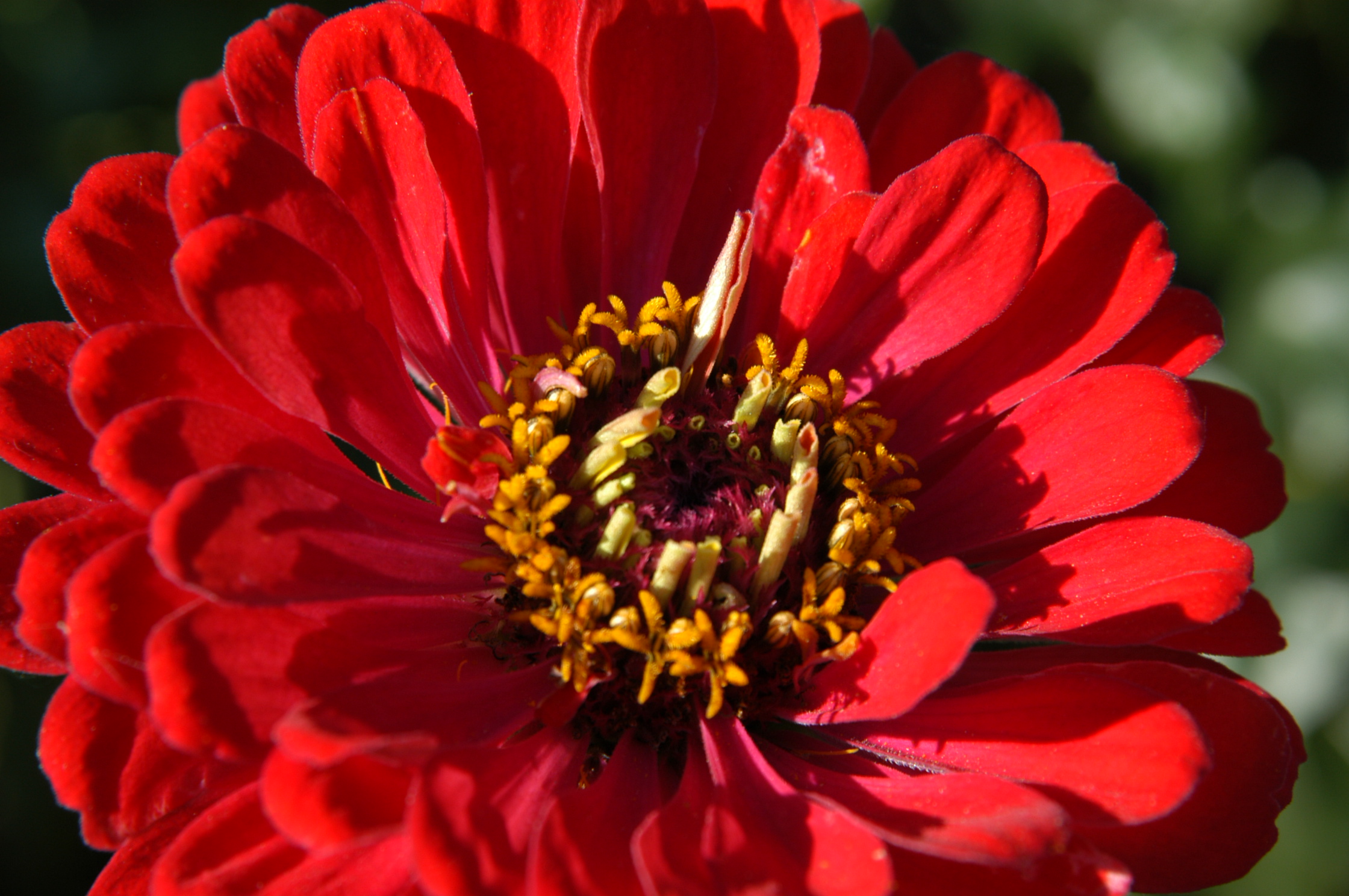 DSC_1894.JPG