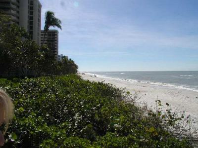 beach in naples