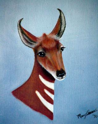 u14/maxie6/medium/41800816.deer.jpg