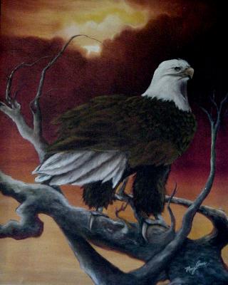 u14/maxie6/medium/41800817.eagle.jpg
