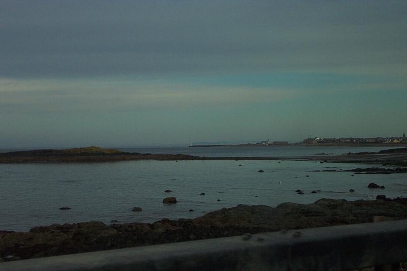 DCP_3391.JPG