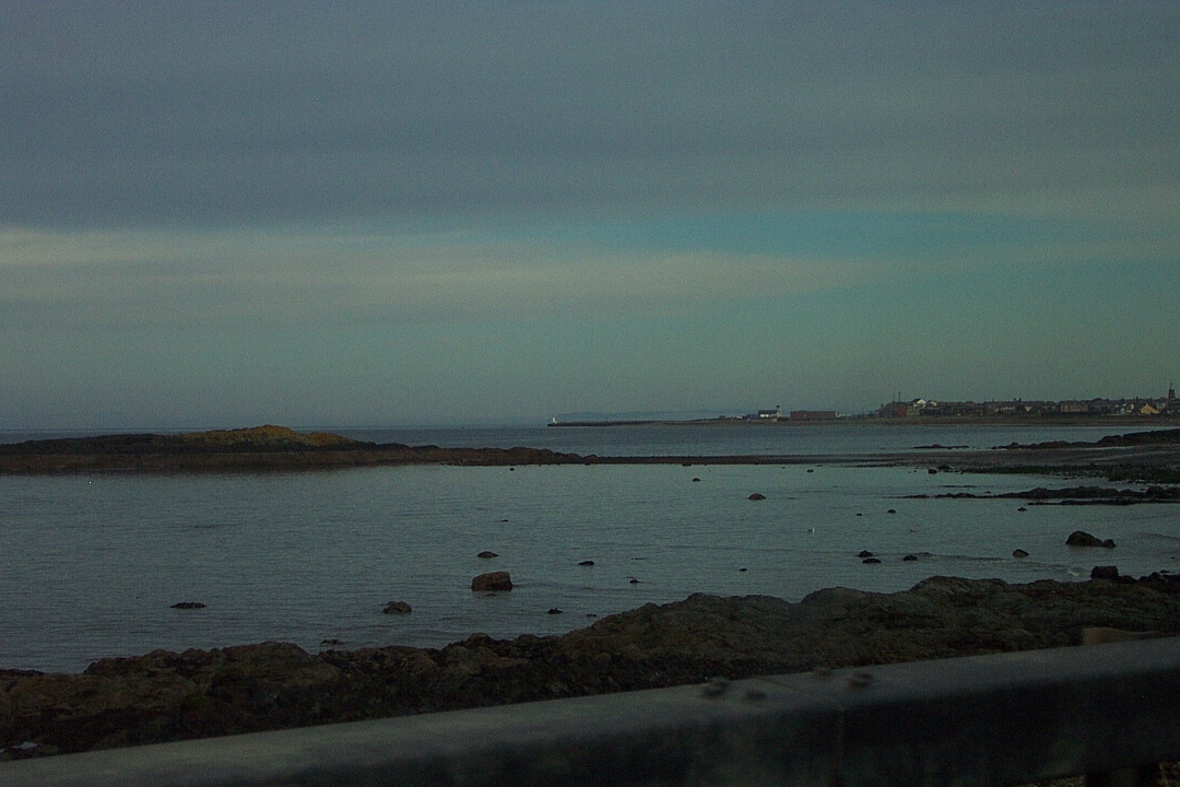 DCP_3391.JPG
