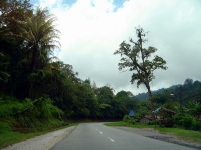 Driving up the hill