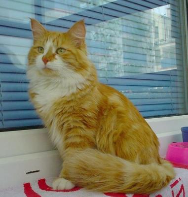 The balcony is a great place to have some sun and fresh air.