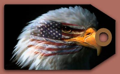 Eagle Tag