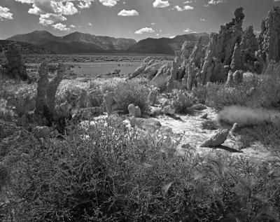 Tufa, Mono Lake