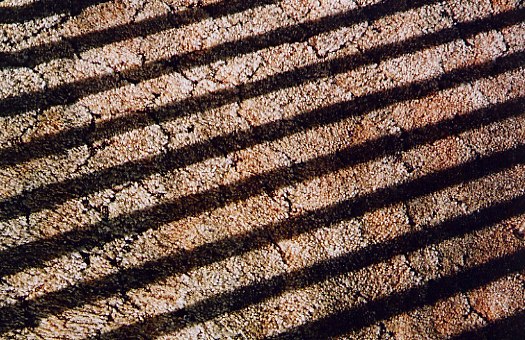 carpet_rollei1-j.jpg