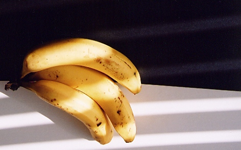 banana_rollei1-j.jpg