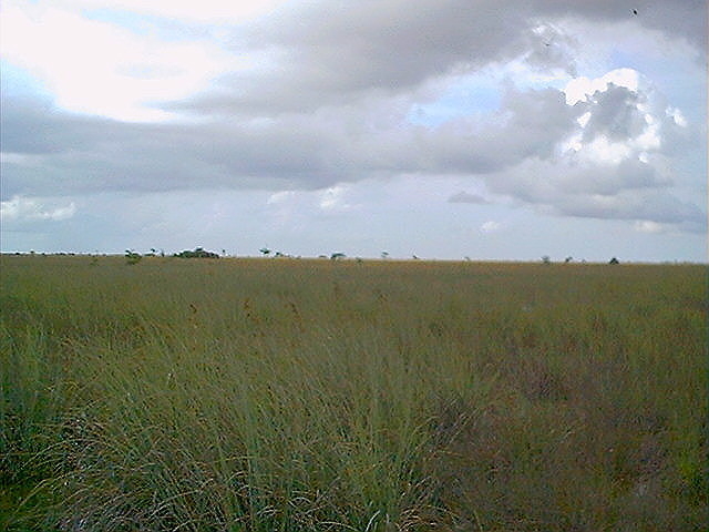 Mia-6.JPG