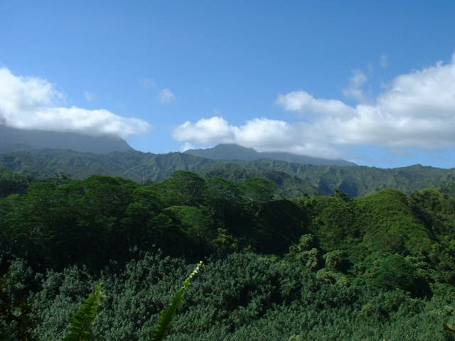 Hawaii 2-02 011.jpg