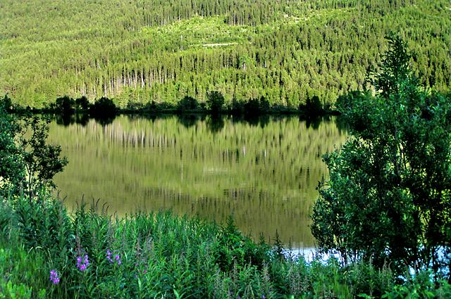 Reflecting Lake 02