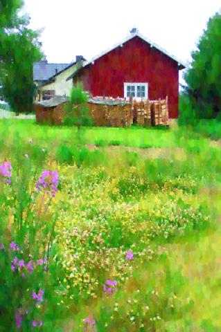 Meadow Art 09