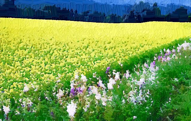Meadow Art 08