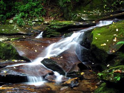 Roaring-Falls 4