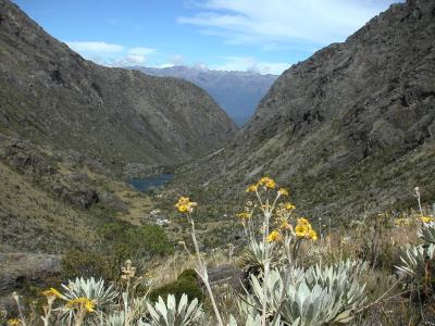 Above Laguna Coromoto